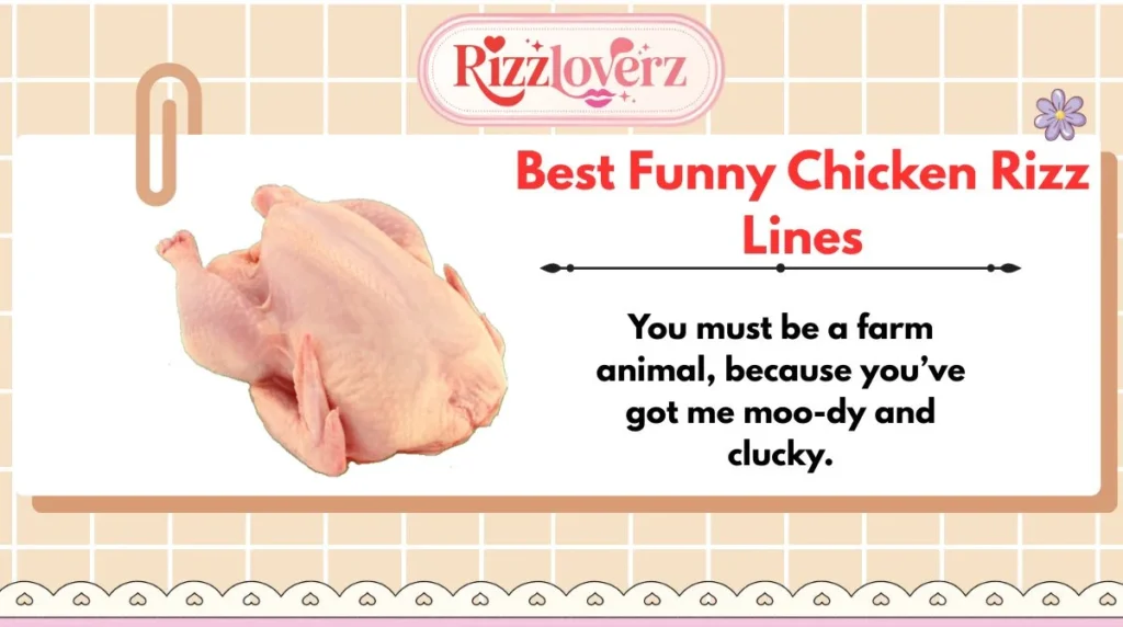 Best Funny Chicken Rizz Lines