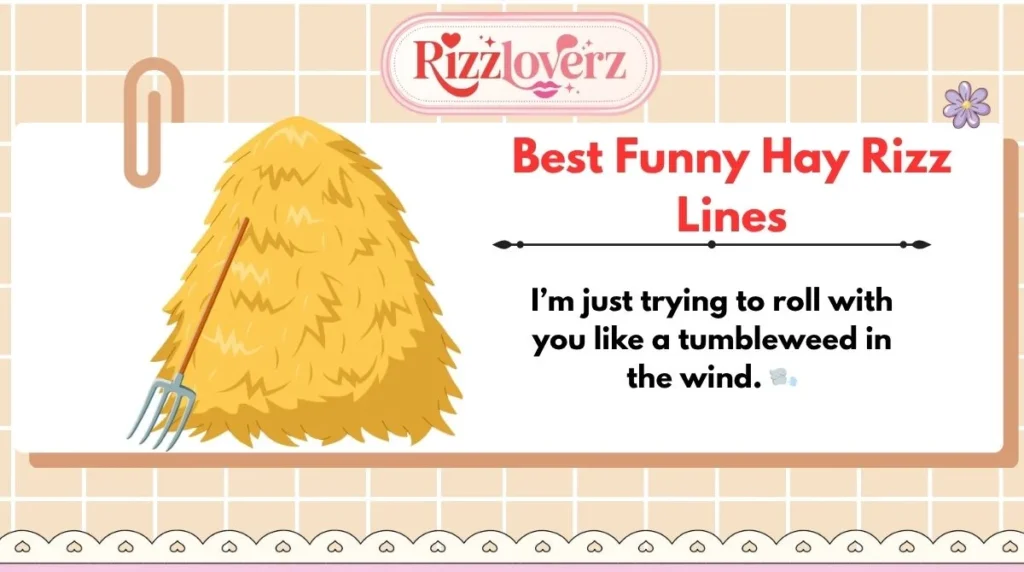 Best Funny Hay Rizz Lines