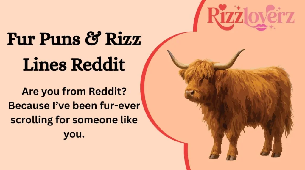 Fur Puns & Rizz Lines Reddit
