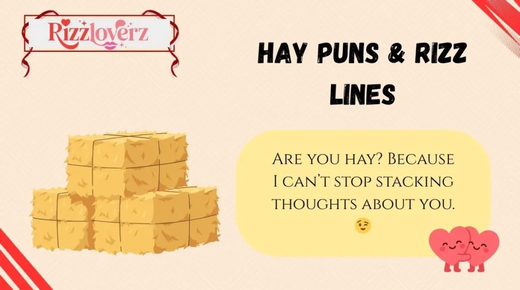 Hay Puns & Rizz Lines