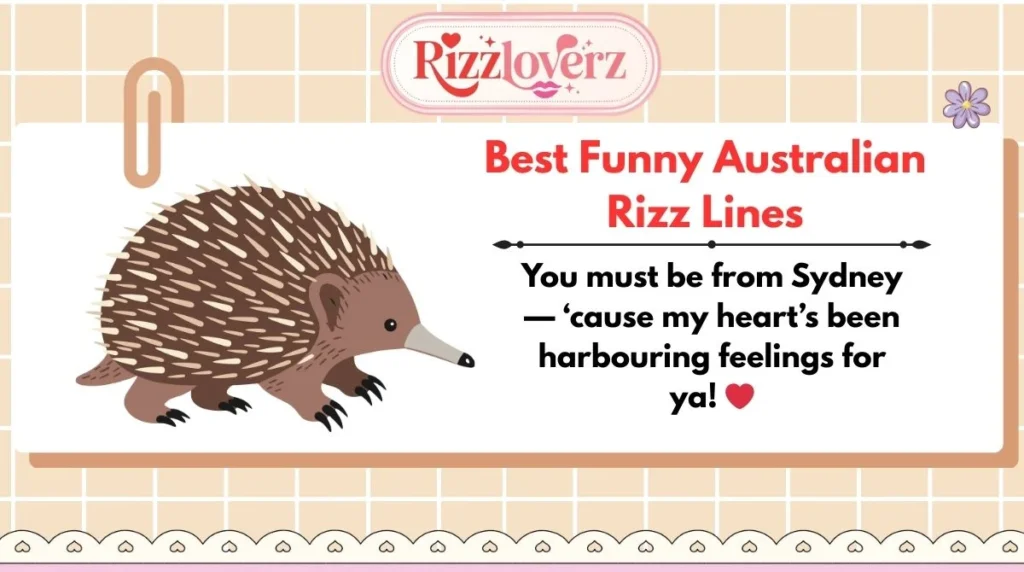 Best Funny Australian Rizz Lines