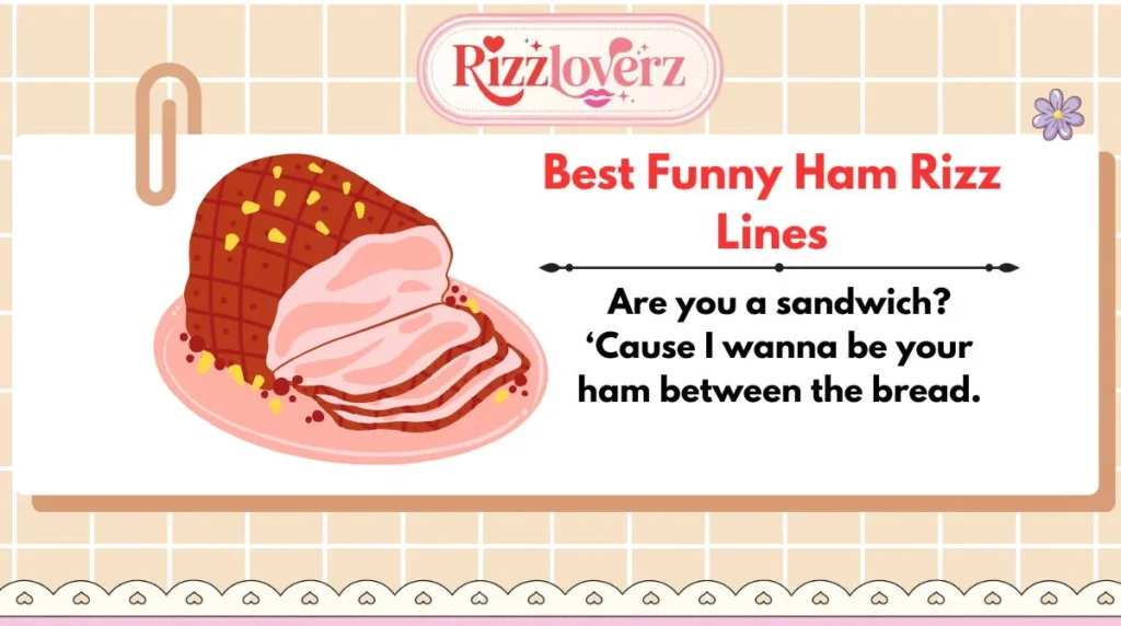 Best Funny Ham Rizz Lines