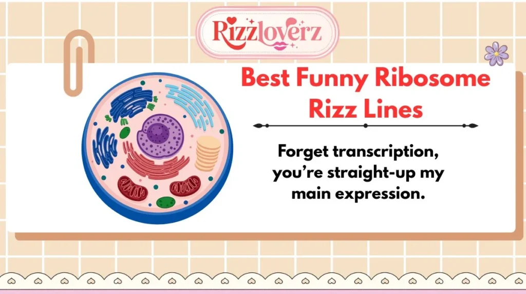 Best Funny Ribosome Rizz Lines