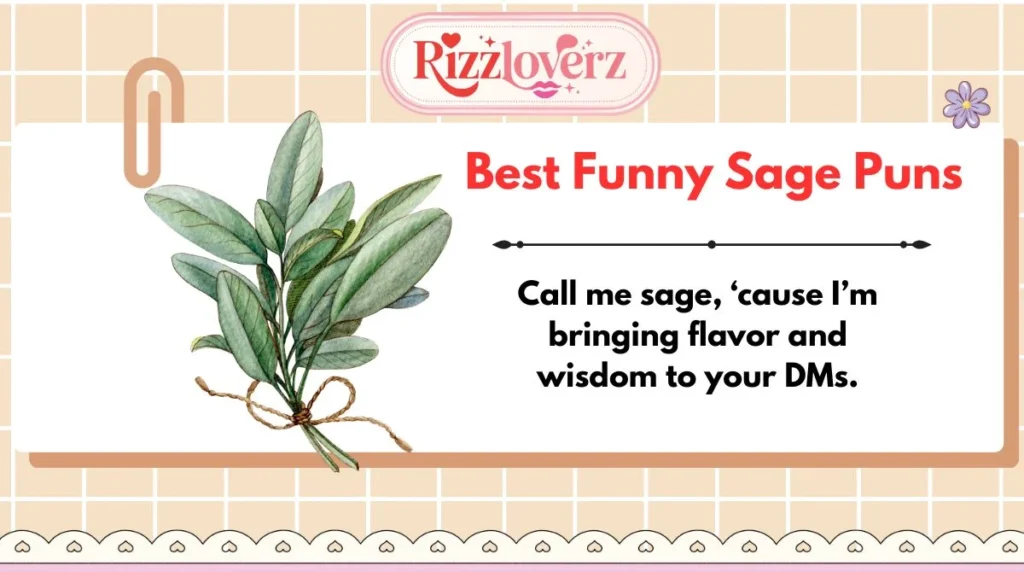 Best Funny Sage Puns