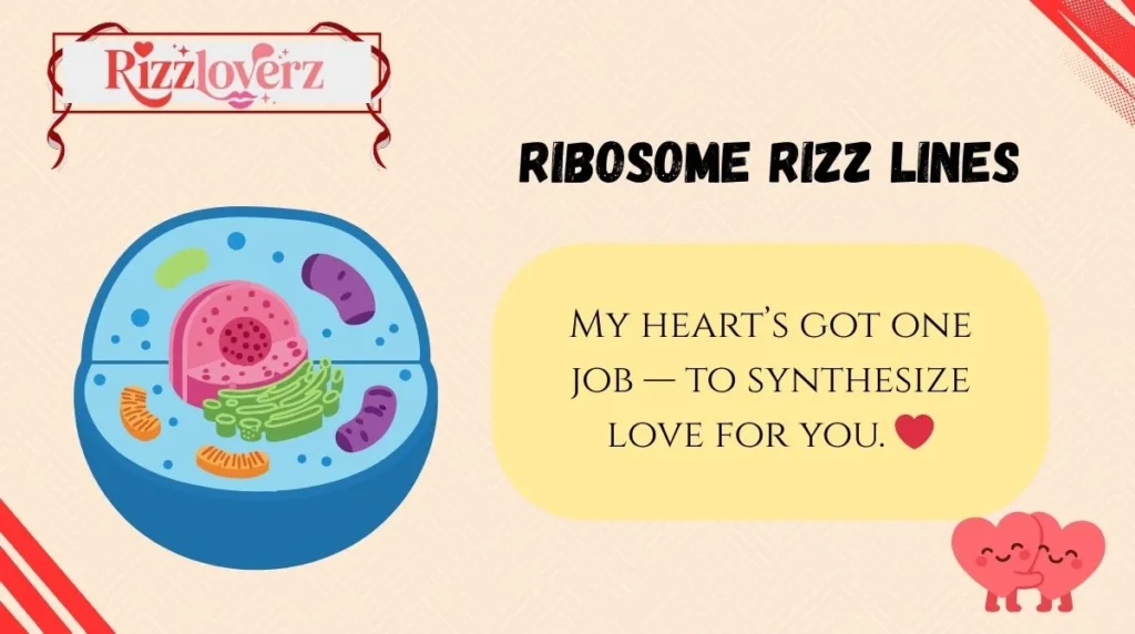 Ribosome Rizz Lines