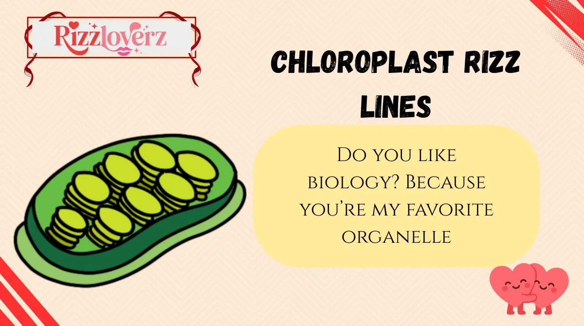 Chloroplast Rizz Lines